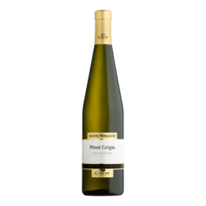 Pinot Grigio DOC
