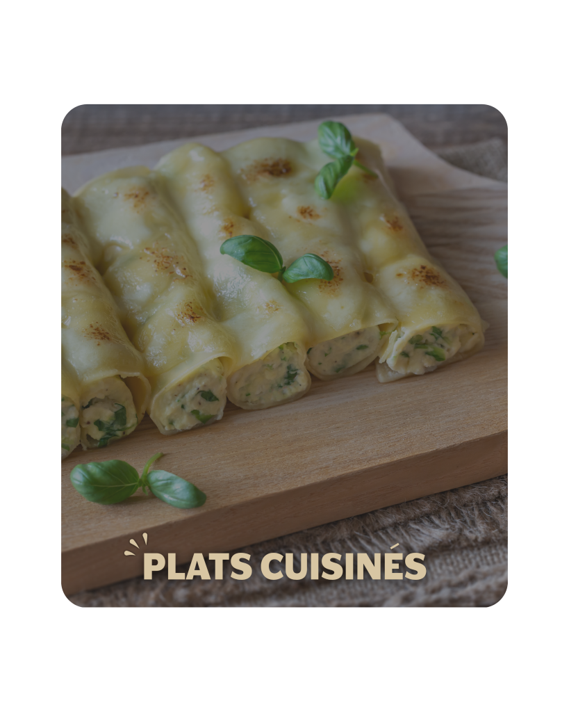 PLATS CUISINES